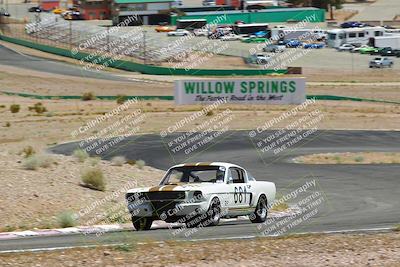 media/May-07-2022-Cobra Owners Club of America (Sat) [[e681d2ddb7]]/Blue/Session 3 (Turn 3)/